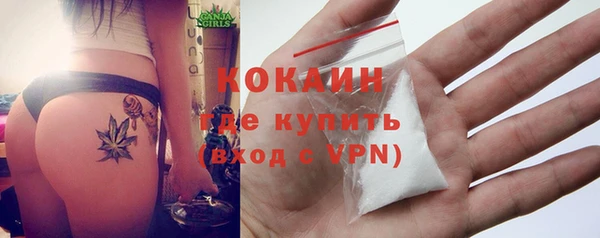 прущие грибы Вязьма