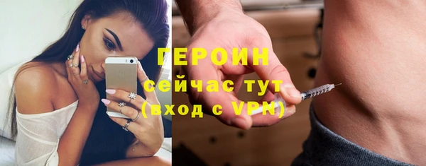 прущие грибы Вязьма