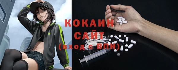 прущие грибы Вязьма