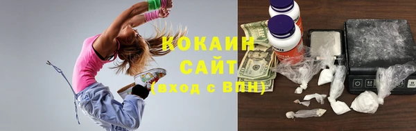 прущие грибы Вязьма