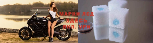 прущие грибы Вязьма