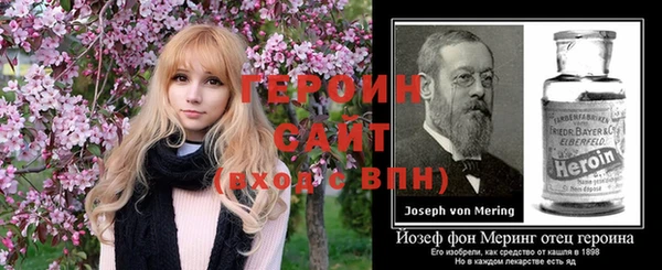 прущие грибы Вязьма