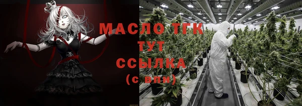 прущие грибы Вязьма