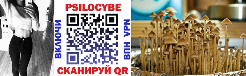 Галлюциногенные грибы Psilocybine cubensis  Пермь 